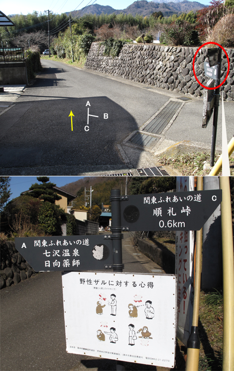 20170126hike (218)